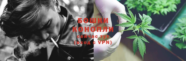 гидропоника Нея