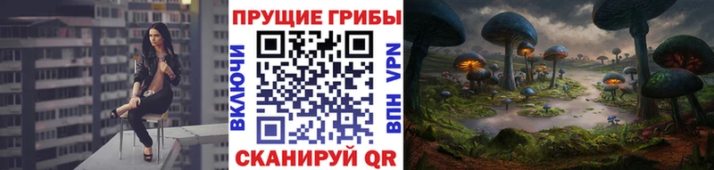 Галлюциногенные грибы Psilocybe  Туапсе 